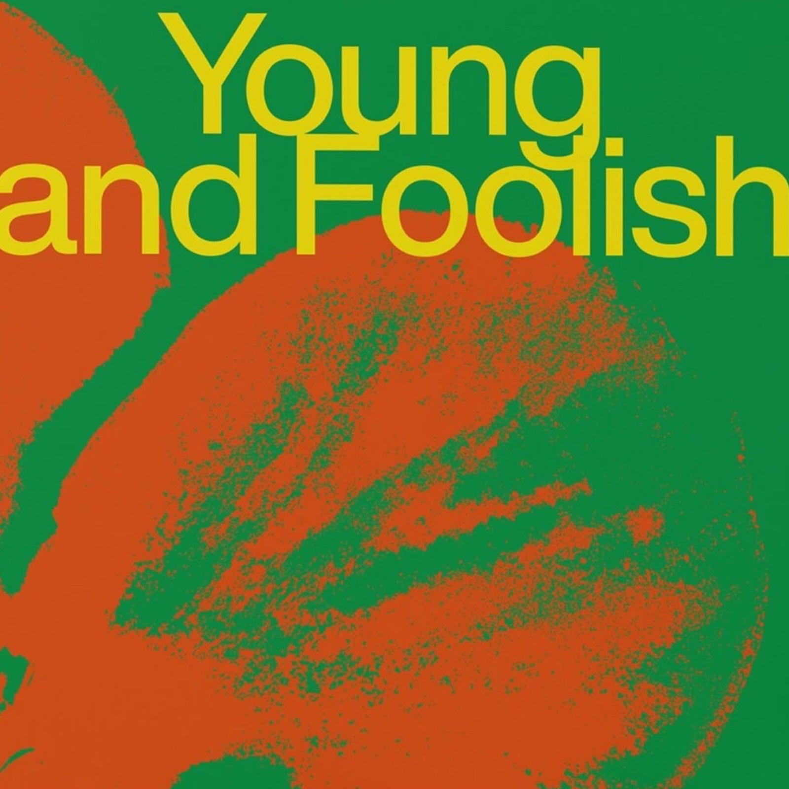 F. Raepke Big Band & C. Illinger – Young and Foolish